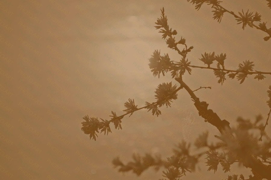 Foto exemplo — Alexandre Zerboni